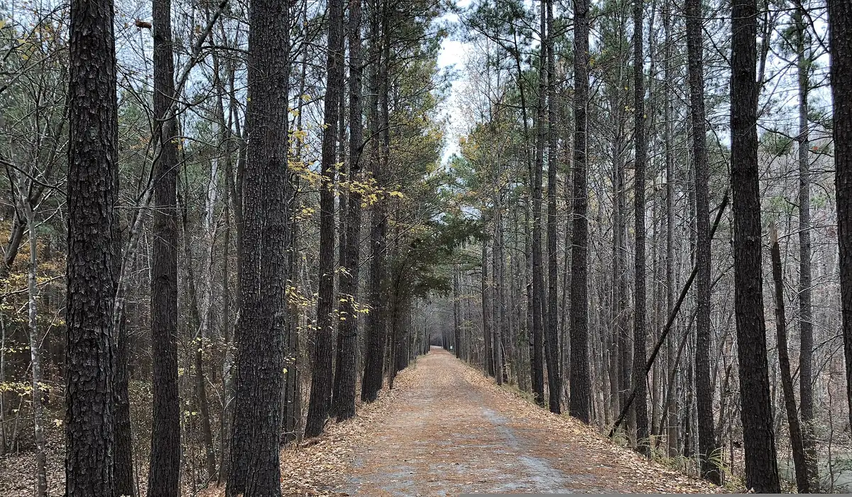 The American Tobacco Trail near the White Oak parking area in Wake County.