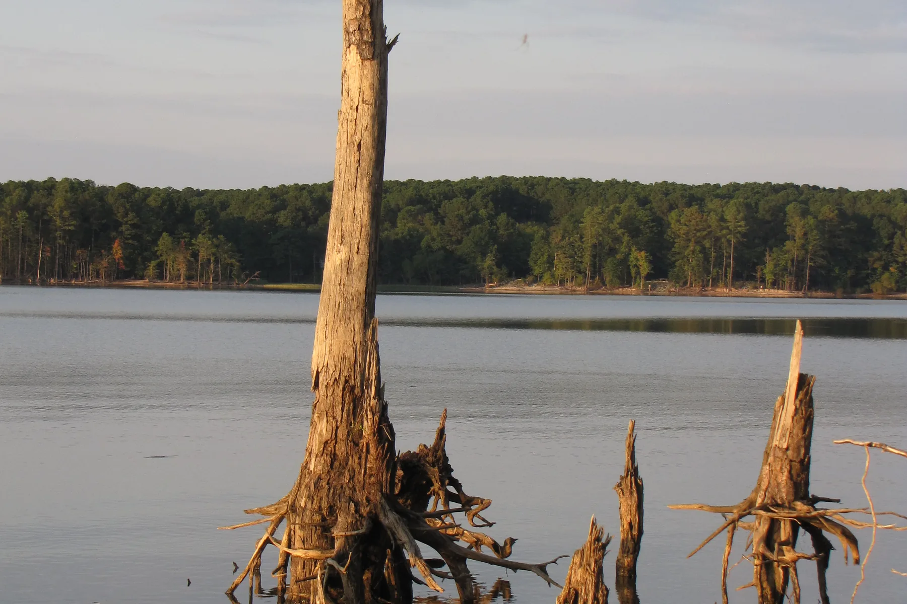 Jordan Lake at the Ebenezer Church recreation area in Chatham County, the protected open space the town's plan names west of the US 64 West area
