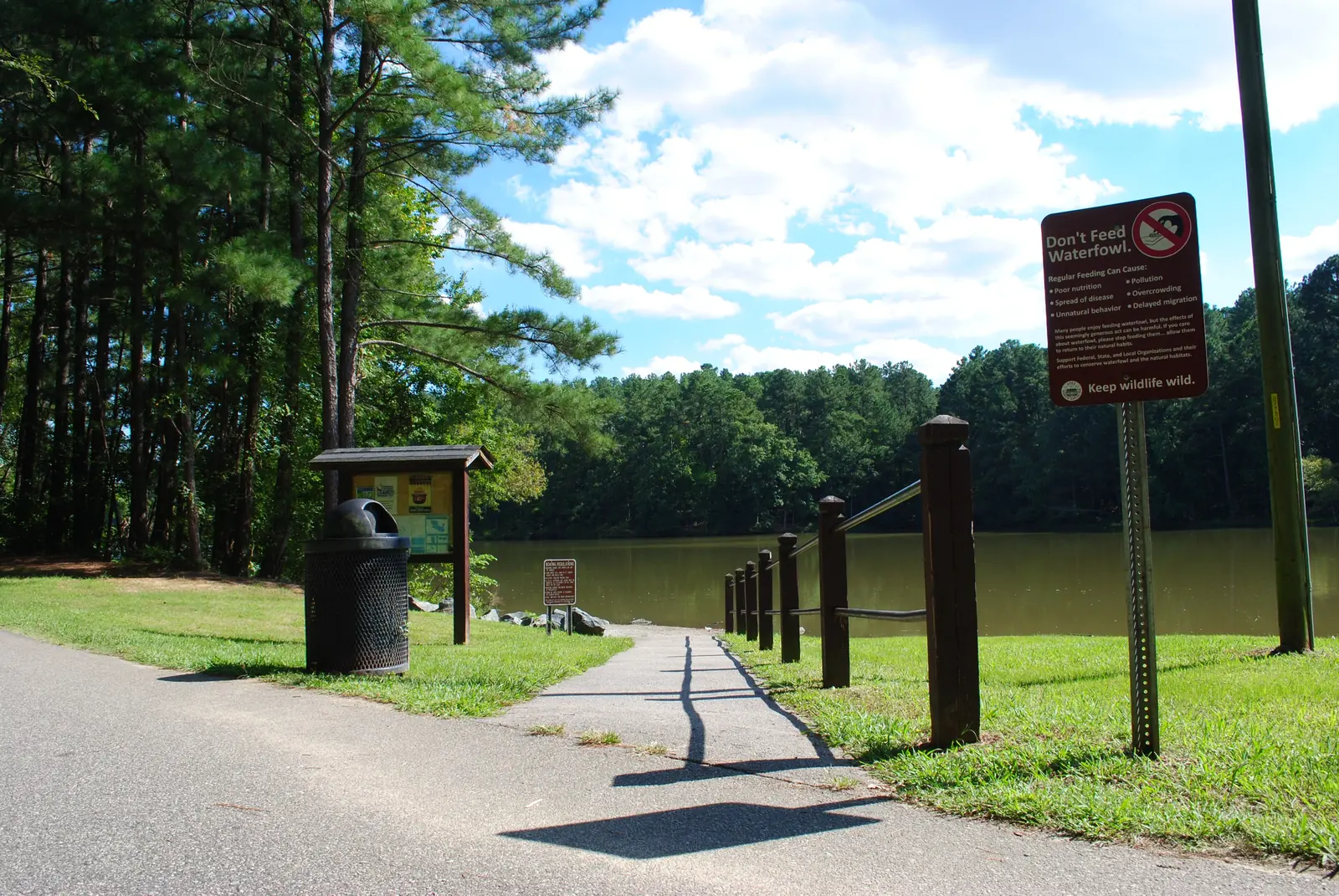 The paved trail along Lake Pine in the 160-acre Apex Community Park.