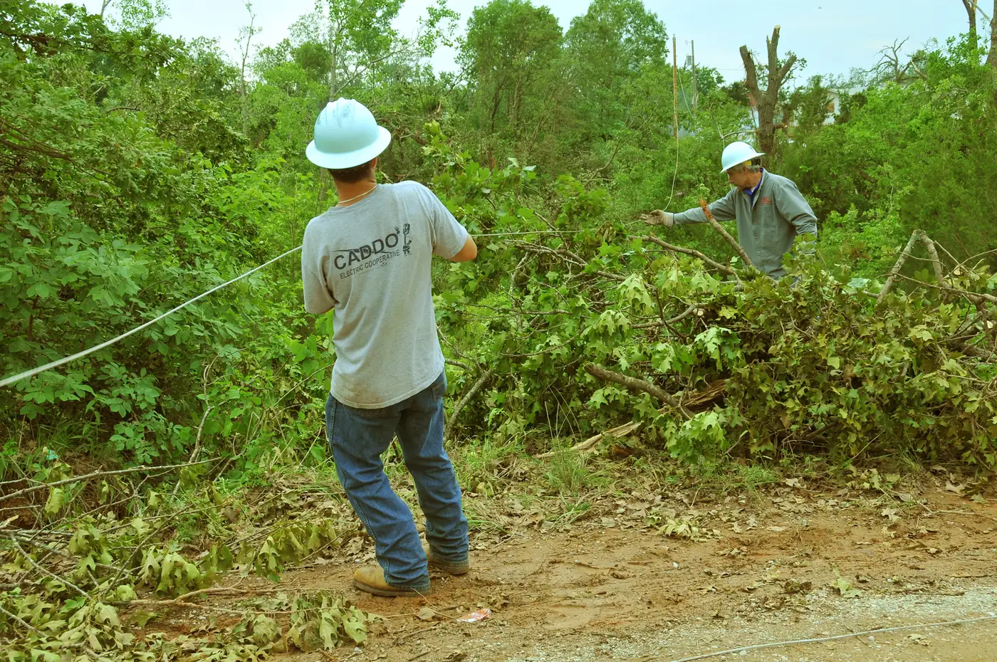 Electric cooperative workers clear downed lines and trees after a storm in Oklahoma.